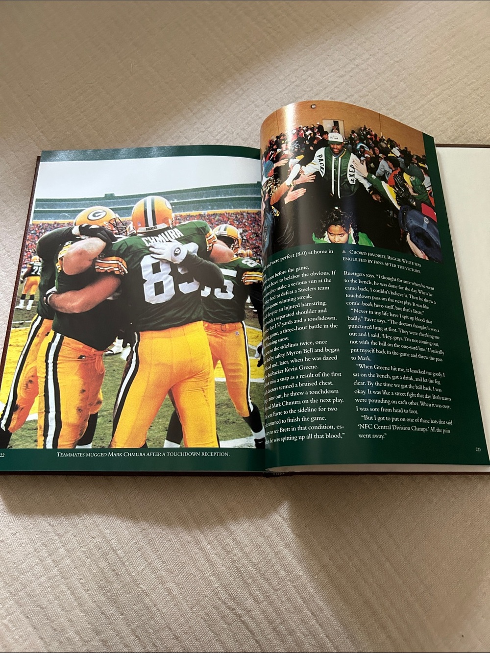 Vintage Football America: Celebrating Our National Passion Classic Edition 1996 - Picture 9 of 13